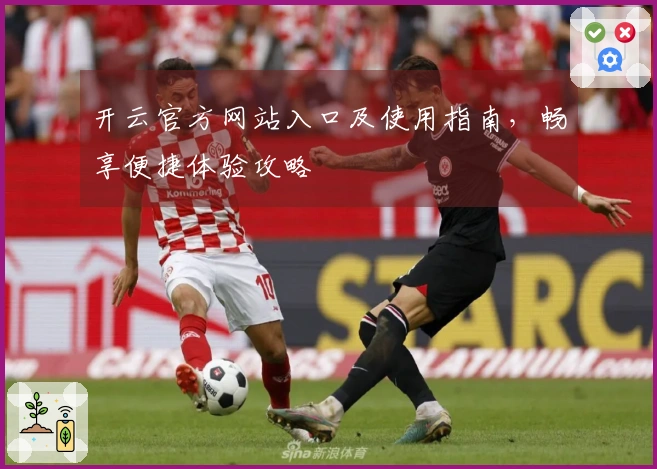 开云官方网站入口及使用指南，畅享便捷体验攻略