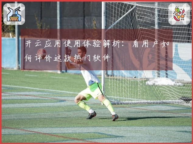 开云应用使用体验解析：看用户如何评价这款热门软件
