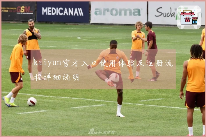 kaiyun官方入口使用体验及注册流程详细说明