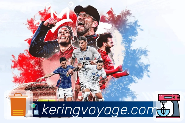 开云移动端支持